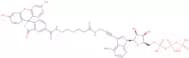 Fluorescein alkynylamino-ATP - 1.0 mM solution