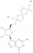 Guanosine 5'-triphosphate disodium salt