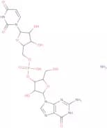 Guanylyl-3'-5'-uridine ammonium salt