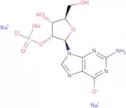 Guanosine-2'(&3')-monophosphate disodium (mixed isomers)