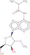 N6-Isobutyryl-2'-O-methyladenosine