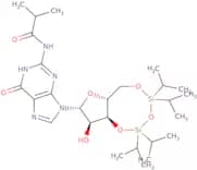 N2-Isobutyryl-3',5'-O-(1,1,3,3-tetraisopropyl-1,3-disiloxanediyl)guanosine