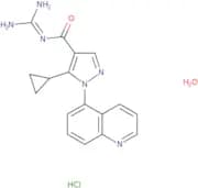 Zoniporide hydrochloride hydrate