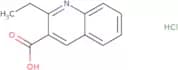 2-Ethyl-3-quinolinecarboxylic acid hydrochloride
