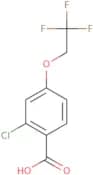 2-chloro-4-(2,2,2-trifluoroethoxy)benzoic acid