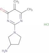 2-(3-Aminopyrrolidin-1-yl)-5,6-dimethyl-3,4-dihydropyrimidin-4-one hydrochloride