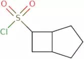Bicyclo[3.2.0]heptane-6-sulfonyl chloride