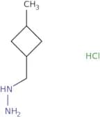 [(3-Methylcyclobutyl)methyl]hydrazine hydrochloride
