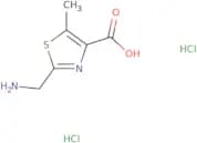2-(Aminomethyl)-5-methyl-1,3-thiazole-4-carboxylic acid dihydrochloride