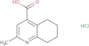 2-Methyl-5,6,7,8-tetrahydroquinoline-4-carboxylic acid hydrochloride