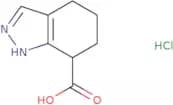 4,5,6,7-Tetrahydro-1H-indazole-7-carboxylic acid hydrochloride