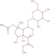 Phlorigidoside B