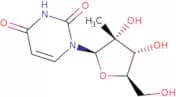 2'-C-Methyluridine