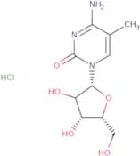 5-Methylcytidine HCl