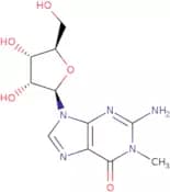 N1-Methylguanosine