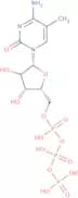 5-Methylcytidine-5'-triphosphate sodium salt - 100mM aqueous solution