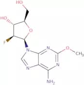 2'-Deoxy-2'-fluoro-2-methoxy-b-D-arabinoadenosine