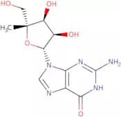 4'-a-C-Methylguanosine