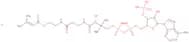 b-Methylcrotonyl coenzyme A lithium salt