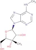 3’-b-C-Methyl-N6-methyladenosine