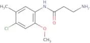 3-Amino-N-(4-chloro-2-methoxy-5-methylphenyl)propanamide