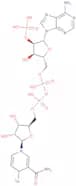 b-Nicotinamide-D adenine dinucleotide reduced form