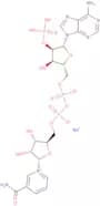 a-Nicotinamide adenine dinucleotide phosphate