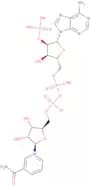 b-Nicotinamide adenine dinucleotide phosphate
