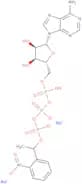 P3-(1-(2-Nitrophenyl)ethyl) adenosine 5'-triphosphate disodium salt