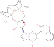 N2-Phenoxyacetyl-3',5'-O-(1,1,3,3-tetraisopropyl-1,3-disiloxanediyl)guanosine