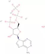 3'-Phosphoadenosine-5'-phosphosulfate lithium salt hydrate