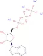 Purine riboside-5'-triphosphate