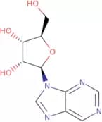 9-(b-D-Ribofuranosyl)purine