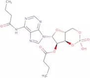 Dibutyryladenosine cyclic 3',5'-monophosphate