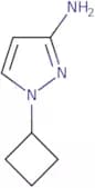 1-Cyclobutyl-1H-pyrazol-3-amine