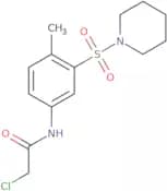 2-Chloro-N-[4-methyl-3-(piperidine-1-sulfonyl)phenyl]acetamide