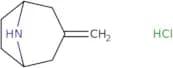 3-Methylidene-8-azabicyclo[3.2.1]octane hydrochloride