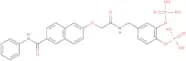[4-[[[2-[6-(Phenylcarbamoyl)naphthalen-2-yl]oxyacetyl]amino]methyl]-2-phosphonooxyphenyl] dihydrog…
