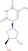 Thymidine