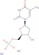 Thymidine-5'-monophosphate disodium salt