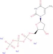 Thymidine-5'-triphosphate sodium salt - 100mM aqueous solution