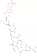 5-Aminoallyl- 2'-deoxyuridine 5'-triphosphate, labeled with 5/6-TAMRA - 1mM aqueous solution