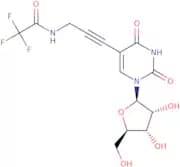 5-[3-(Trifluoroacetyl)aminopropyn-1-yl]uridine