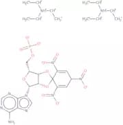 2',3'-O-Trinitrophenyl-adenosine-5'-monophosphate triethylammonium salt