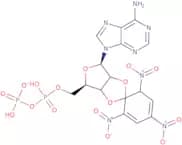 2'/3'-O-Trinitrophenyl-adenosine-5'-diphosphate triethylammonium salt
