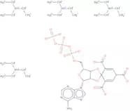 2'/3'-O-Trinitrophenyl-adenosine-5'-triphosphate triethylammonium salt - 10mM aqueous solution