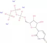 4-Thiouridine-5'-triphosphate sodium salt - aqueous solution