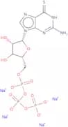 6-Thioguanosine-5'-O-triphosphate sodium - 10mM aqueous solution