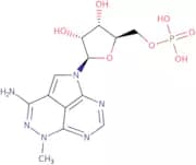Tricyclic nucleoside phosphate