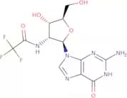 2'-TFA-NH-dG